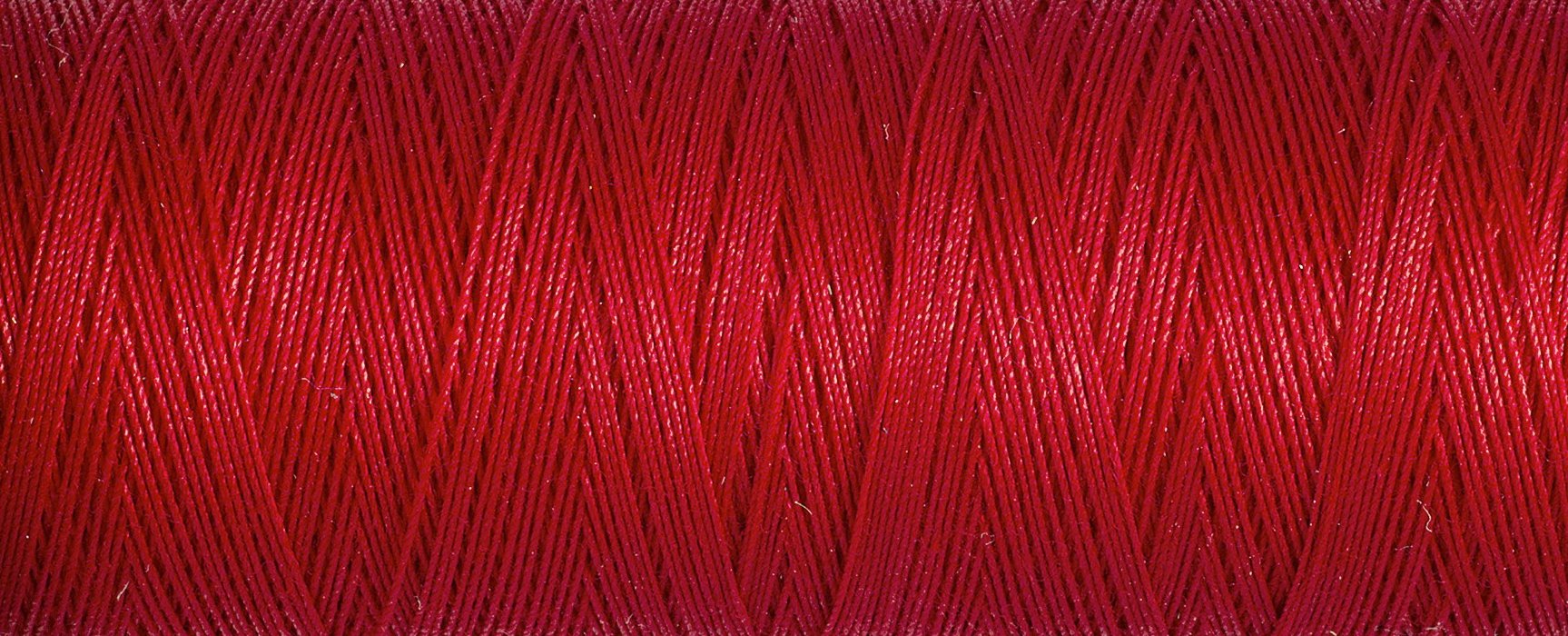 2T100C_2074.jpg