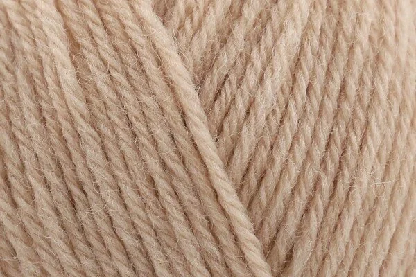 3945 camel.jpg