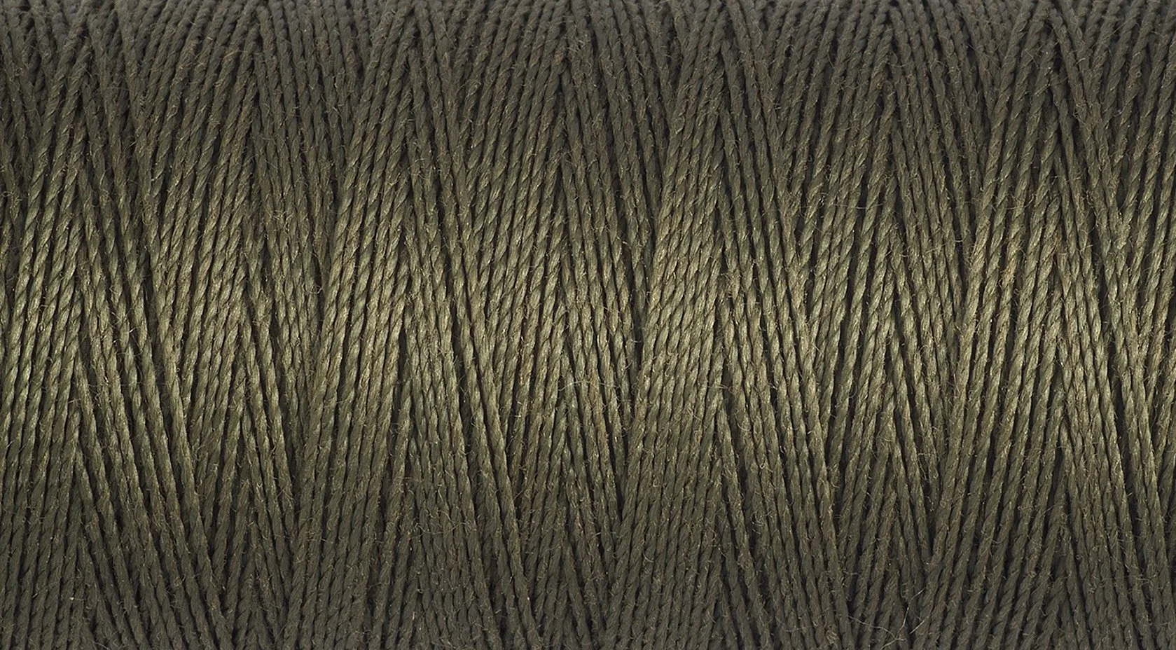 2T100E_676.jpg