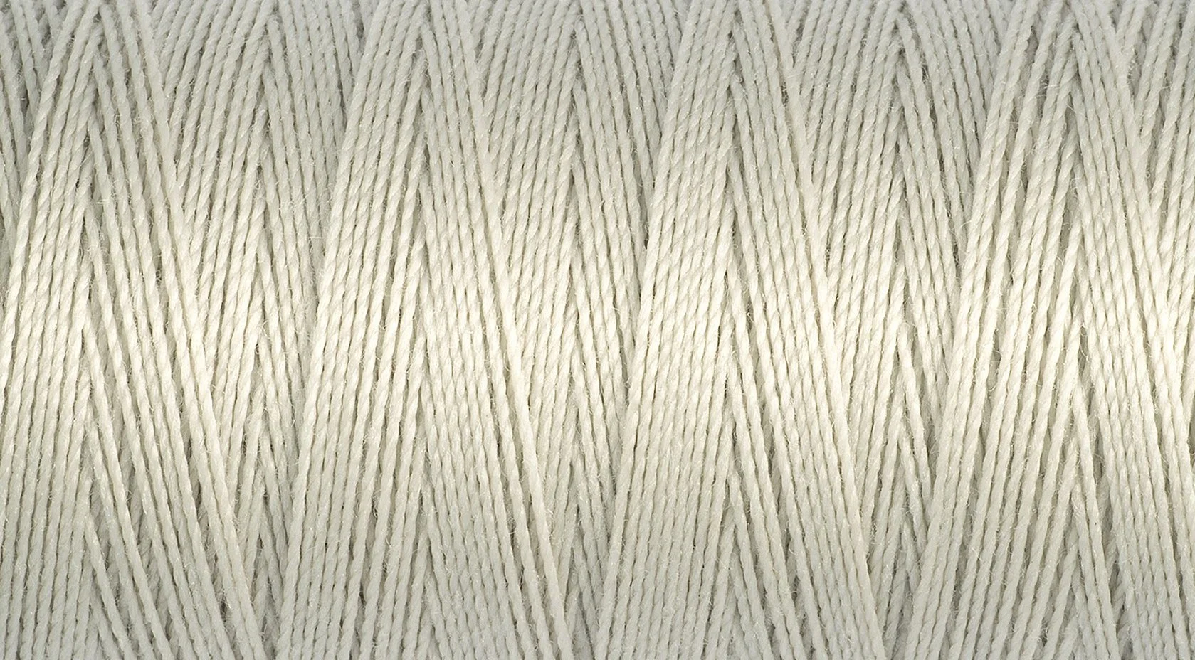 2T100E_299.jpg