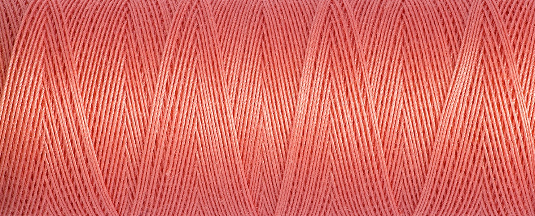 2T100C_2166.jpg