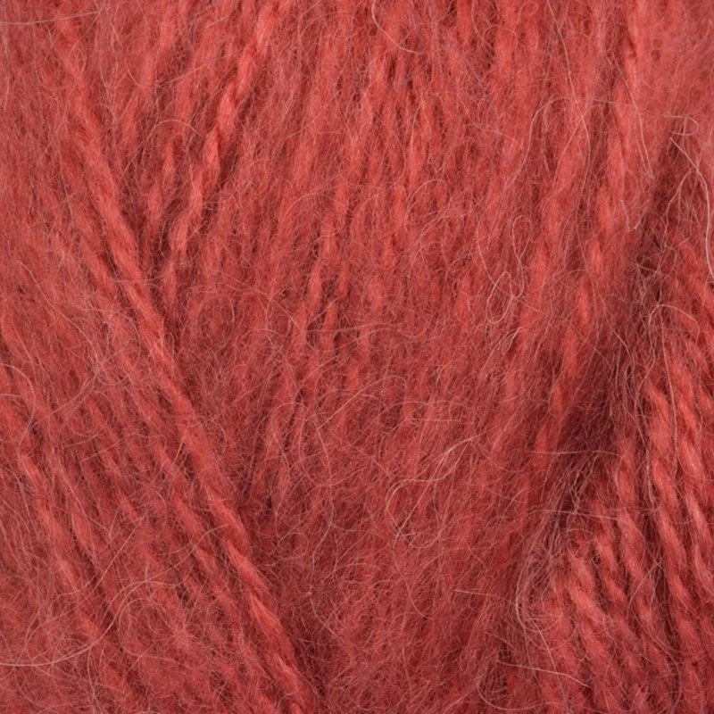 3202151_800x800.jpg