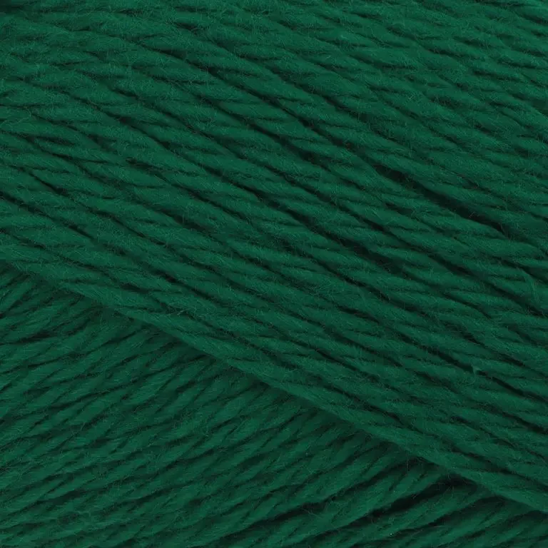 spruce.webp