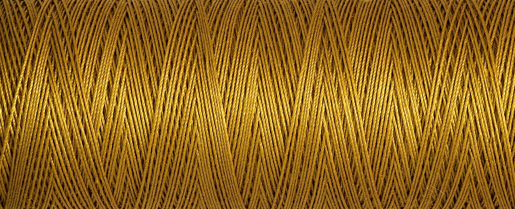 2T100C_1056.jpg