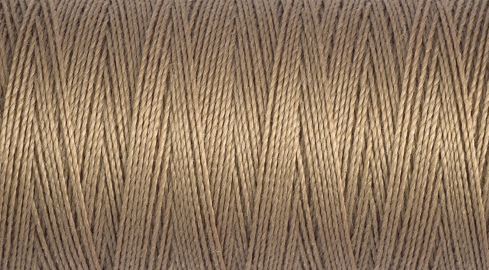 2T100E_139.jpg