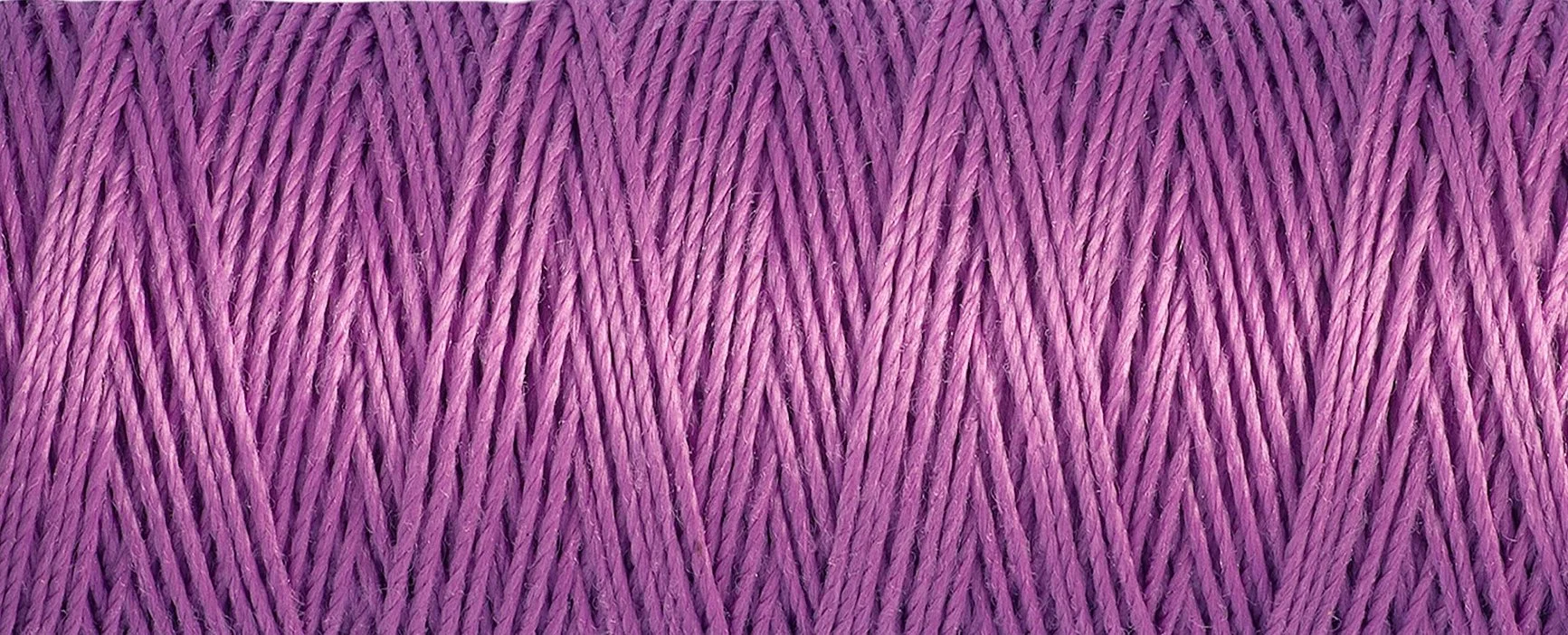 2T30_716.jpg