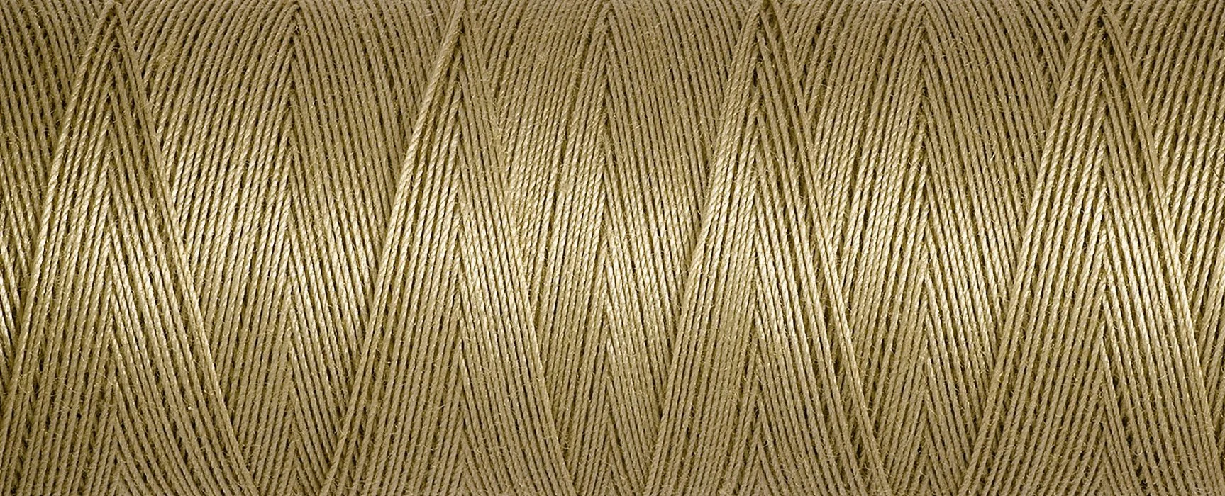 2T100C_1026.jpg