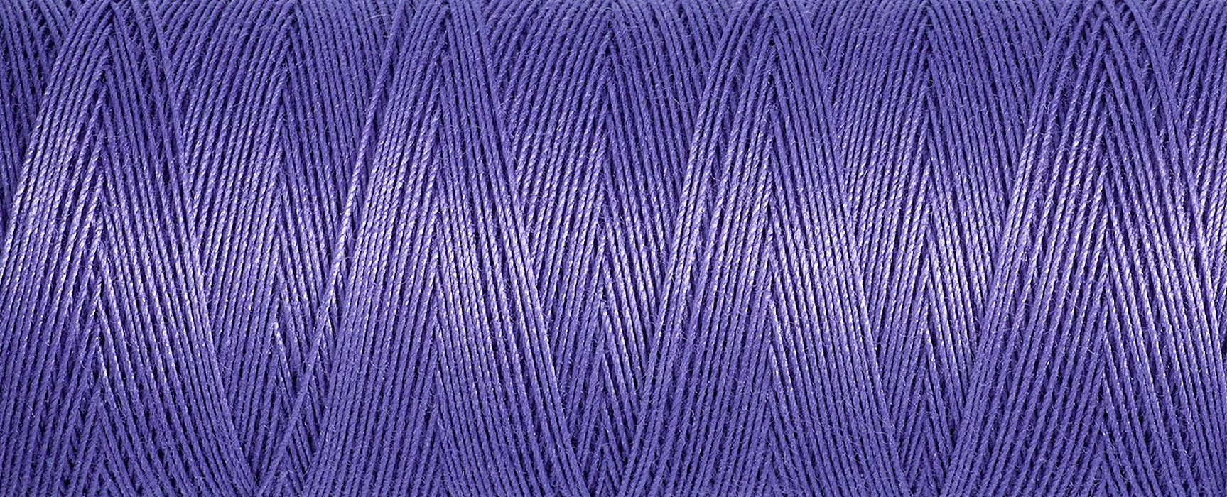 2T100C_4434.jpg