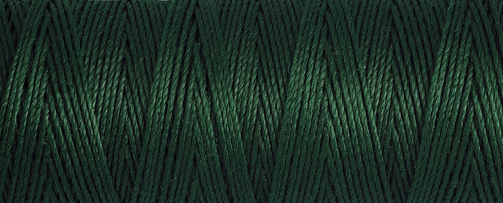 2T30_472.jpg