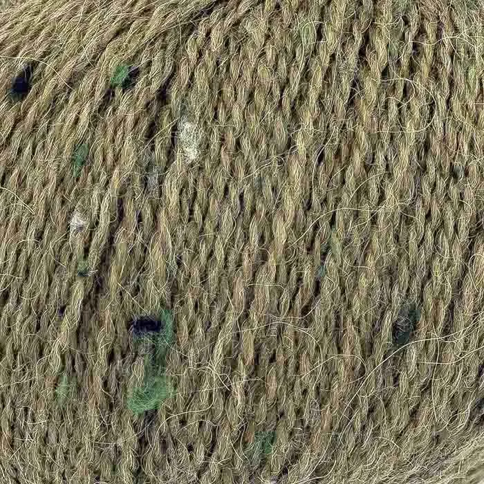Autumn fern.jpg