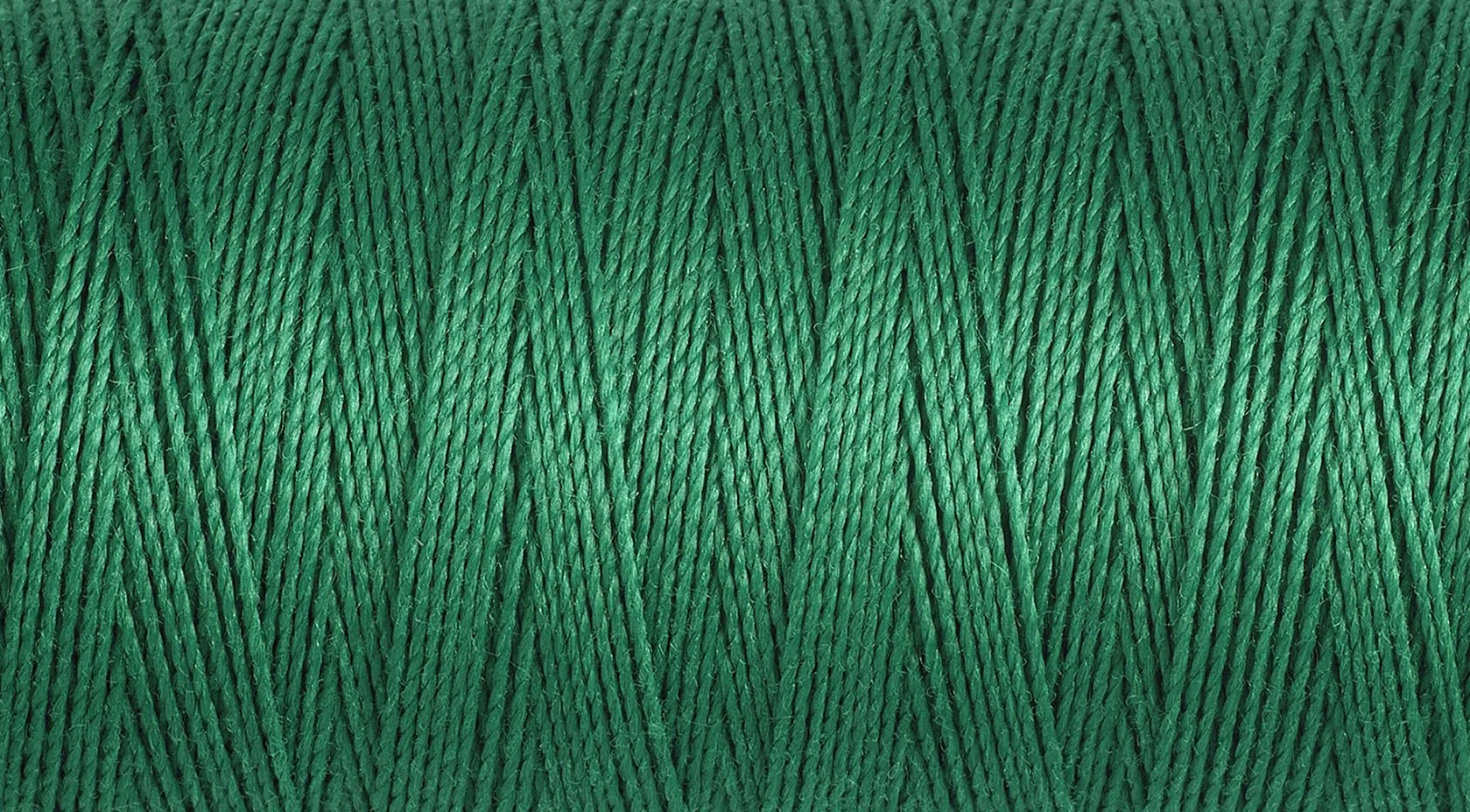 2T100E_402.jpg