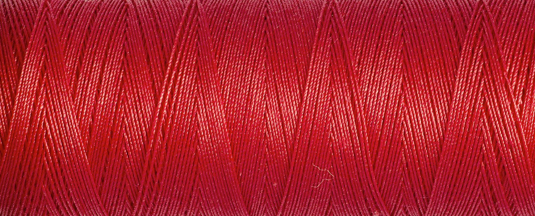 2T100C_1974.jpg