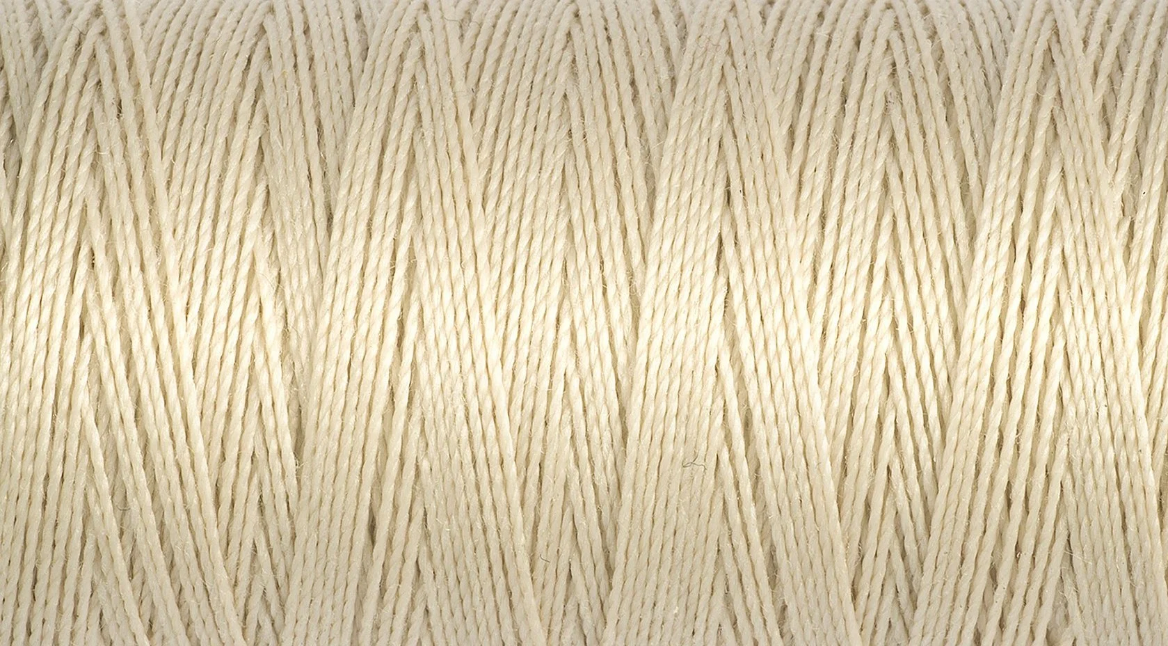 2T100E_414.jpg
