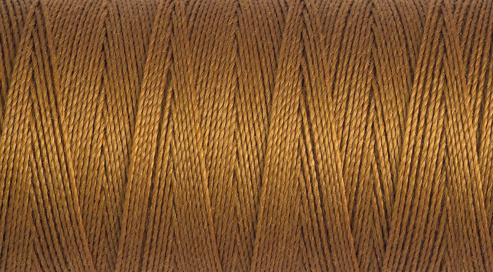 2T100E_448.jpg