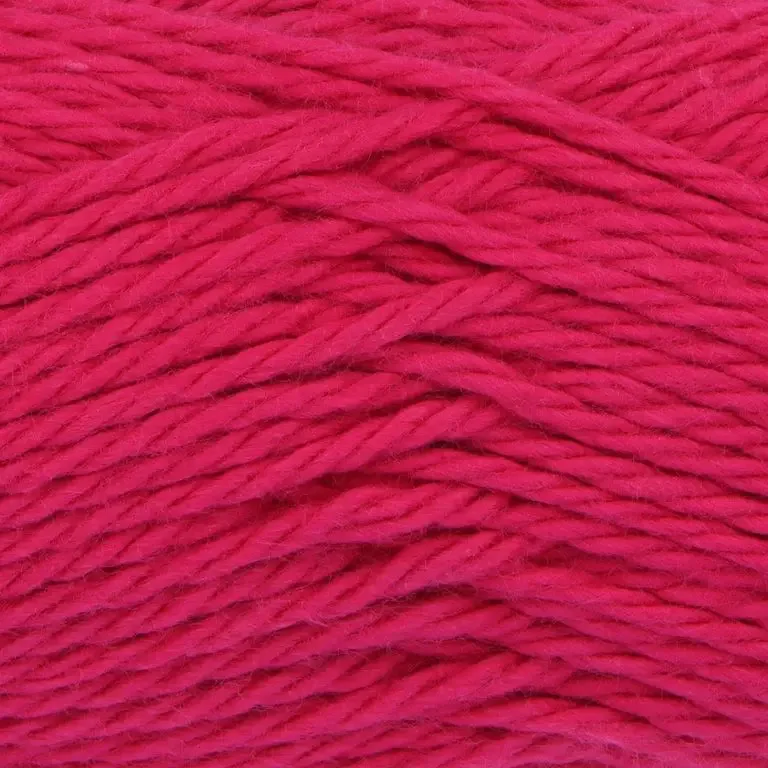 raspberry.webp