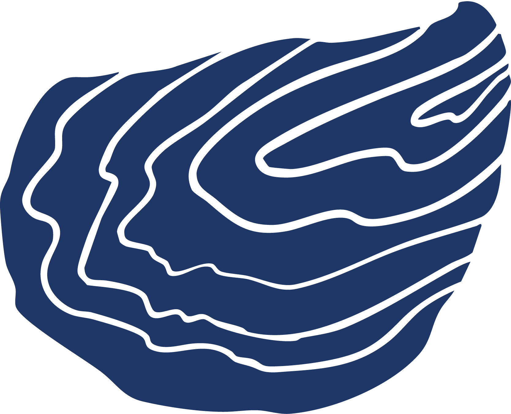 A stylized illustration of a cross-section of a dark blue onion with the layers outlined in black.