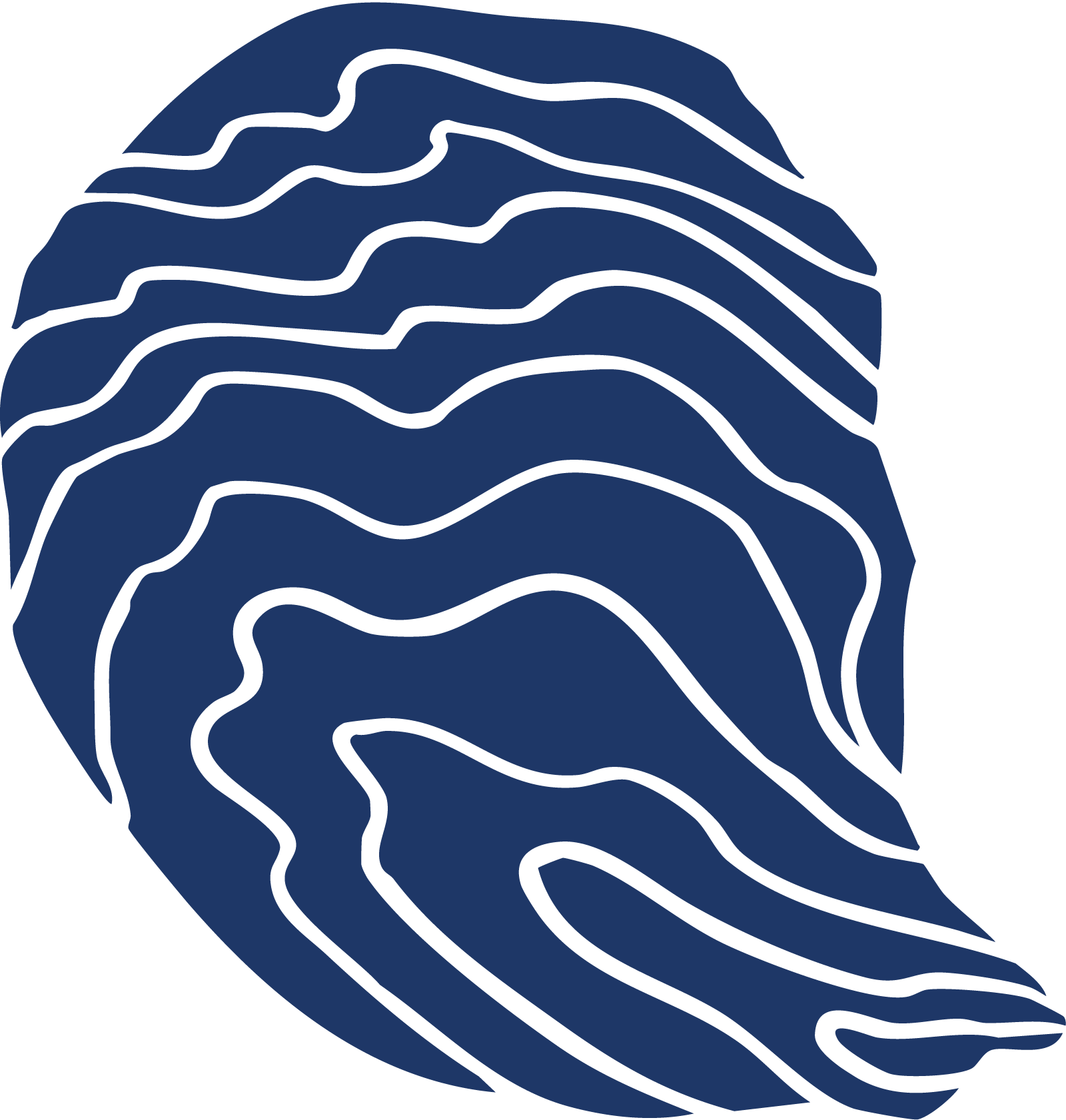 Abstract blue and white swirling pattern resembling a topographic map or stylized wave design.