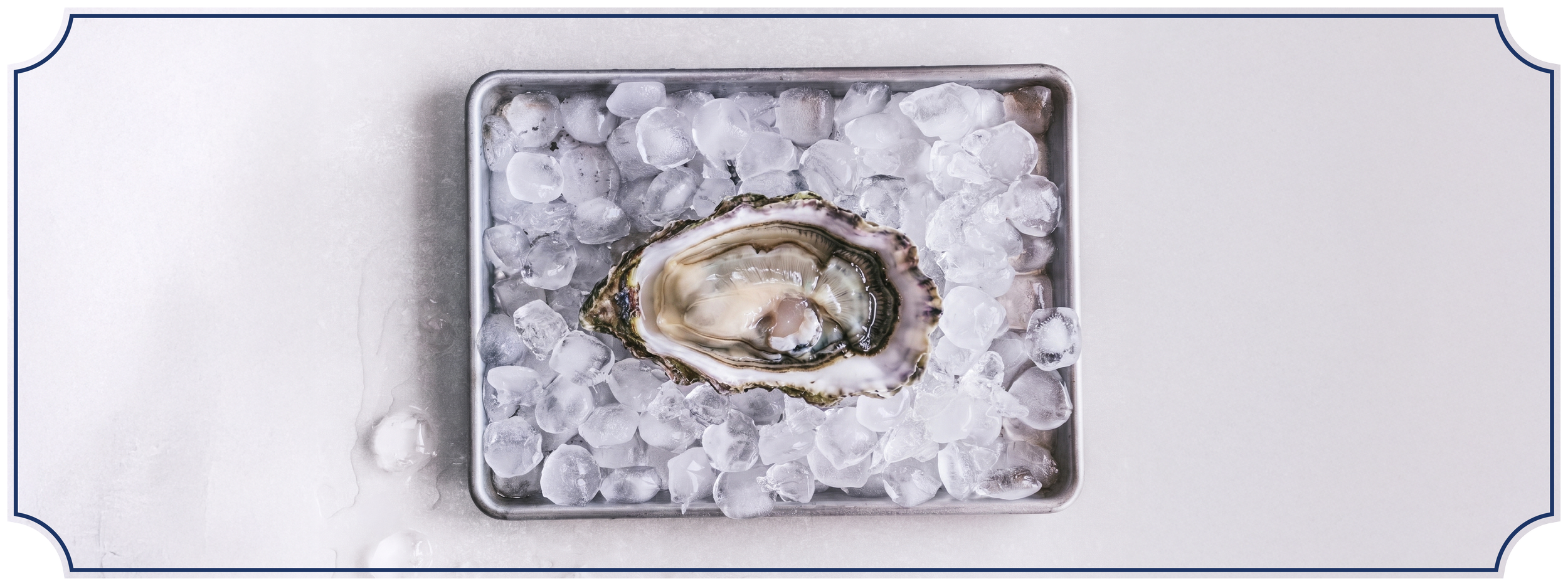 An oyster shell on a bed of ice in a metal tray.