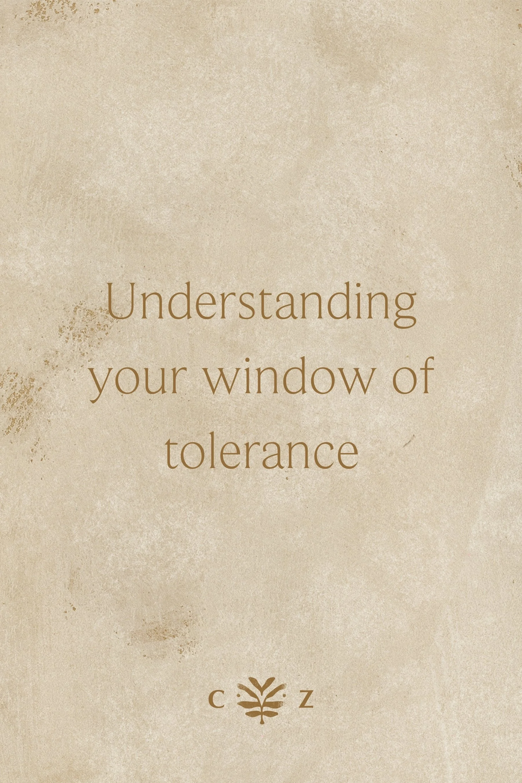 Understanding Your Window of Tolerance: A Somatic Approach to Anxiety Therapy in Denver