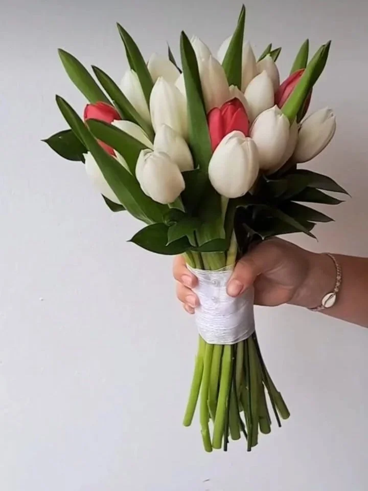 1000096872.jpg