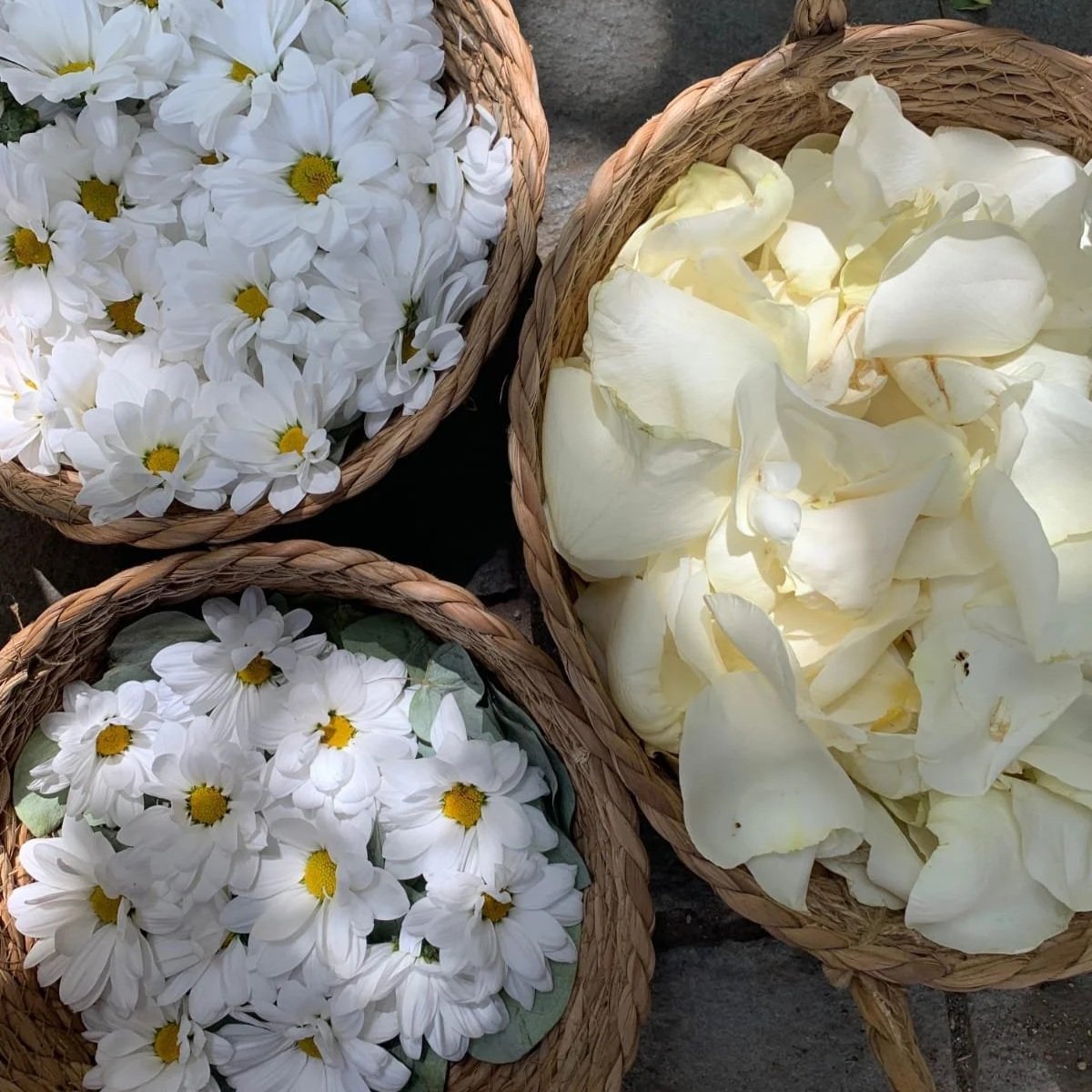 NUEVO mix flores + pétalos