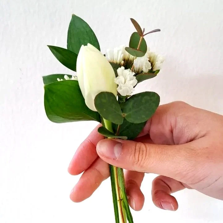 Boutonier novio tulipán