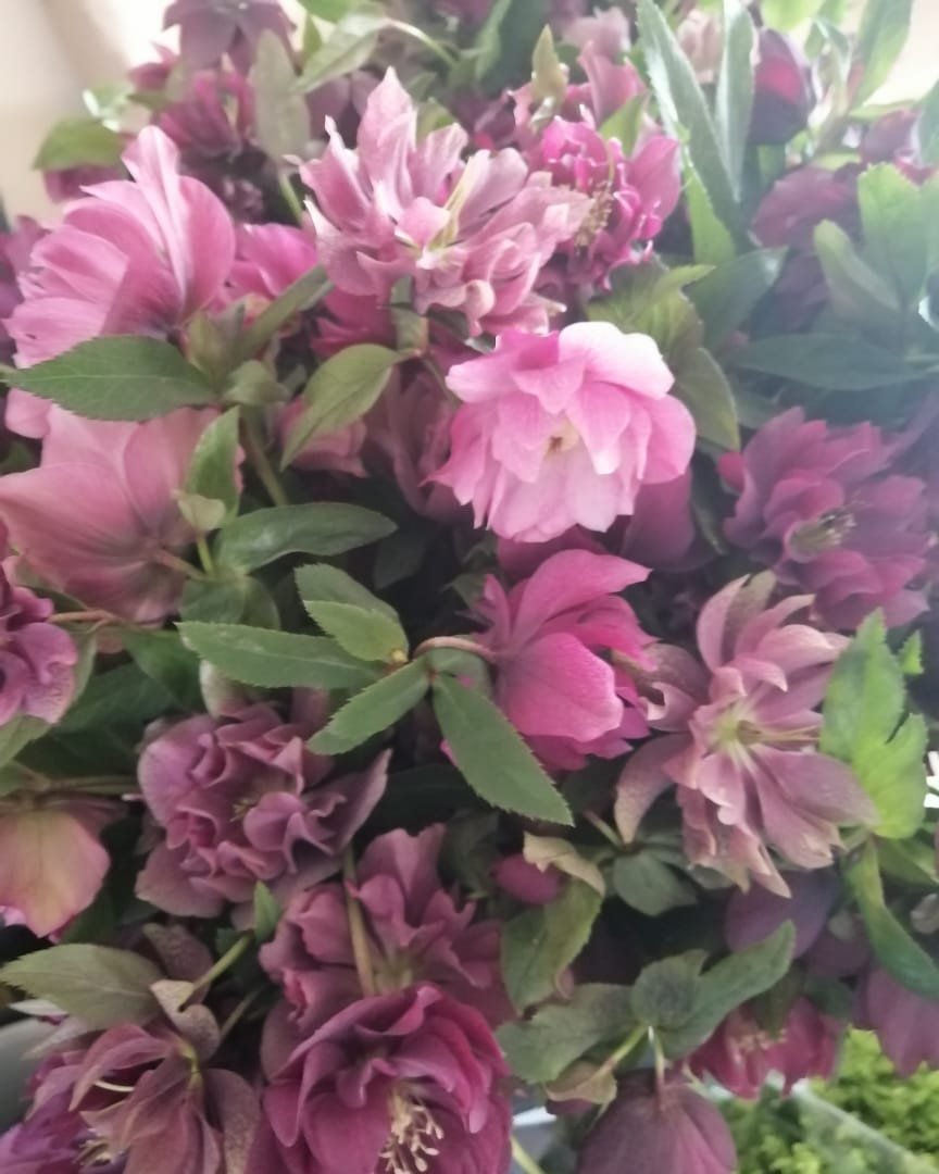 Ramillete de flores rosas y moradas con hojas verdes