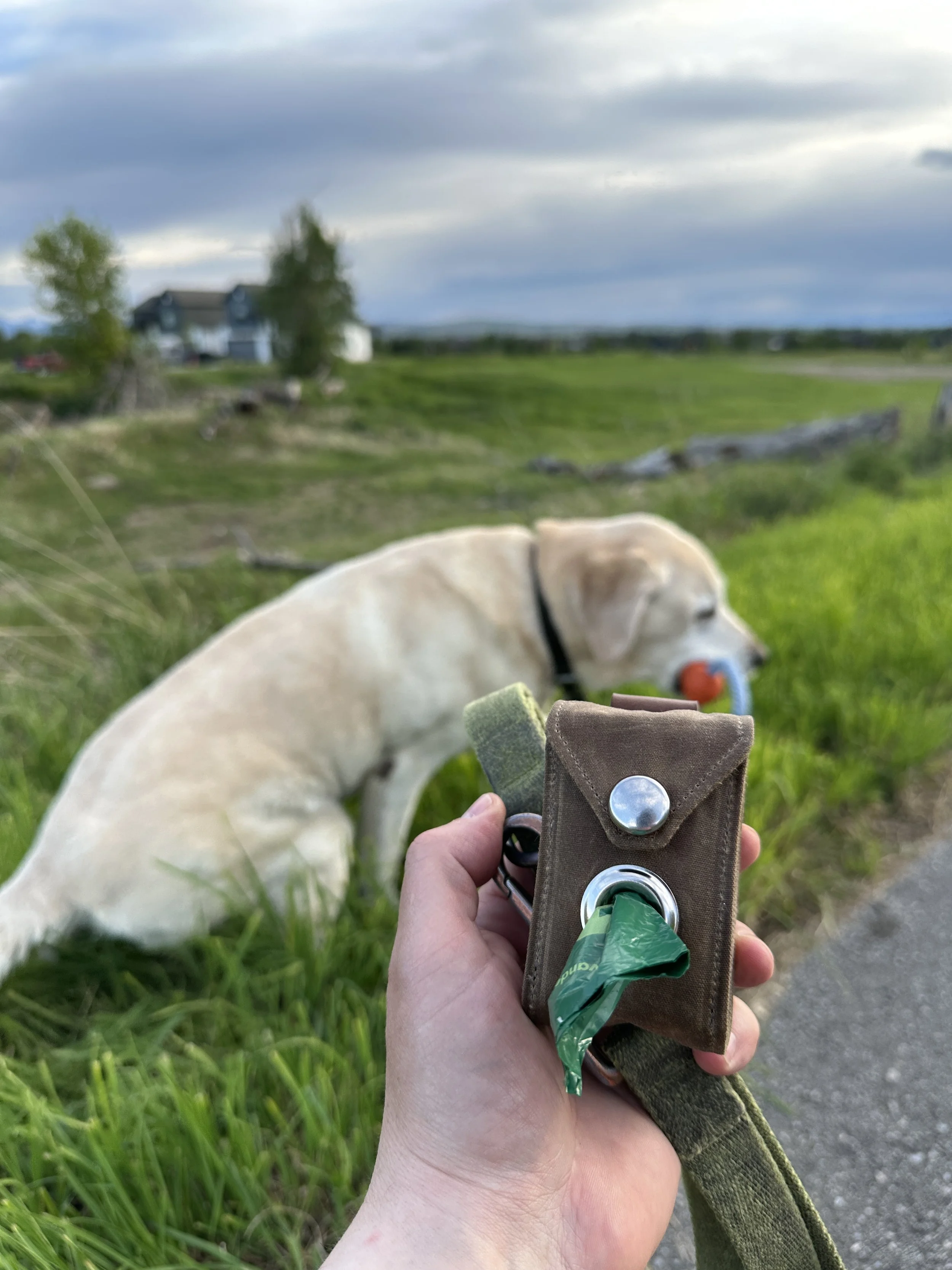 Premium Poop Bag Dispenser Sewing Pattern