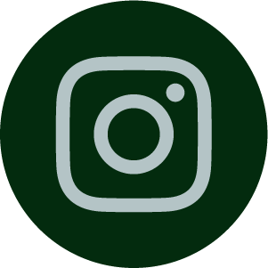 Logo d'Instagram sur fond vert