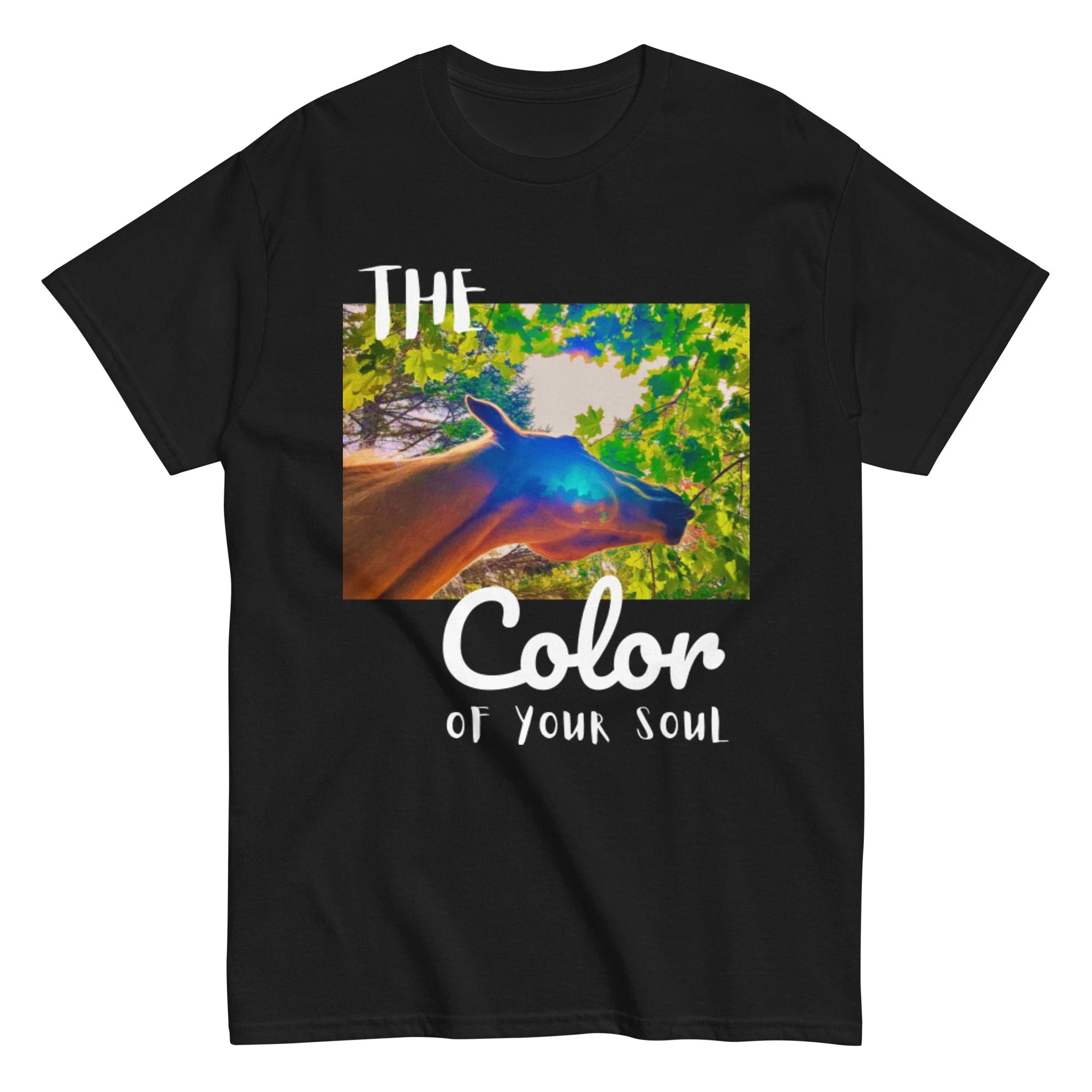 The Color of Your Soul- Unisex classic tee