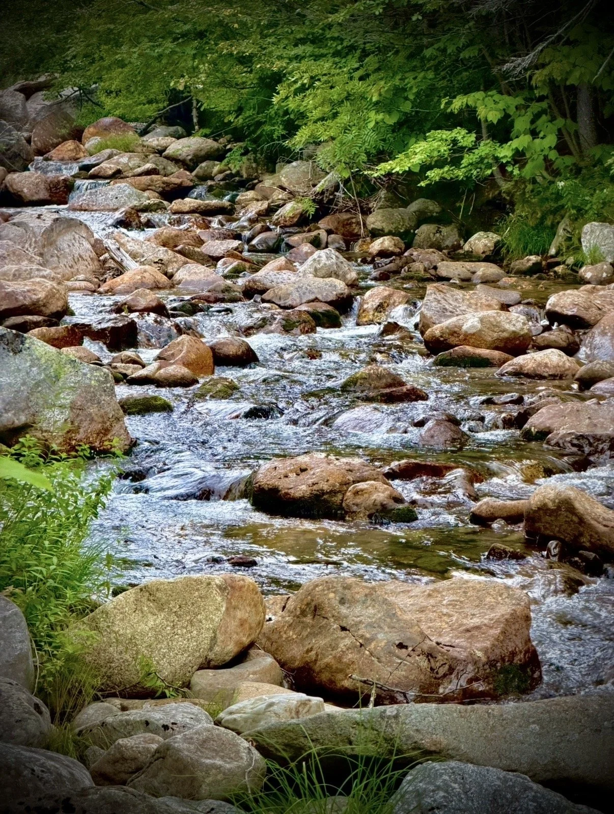 Stone Creek
