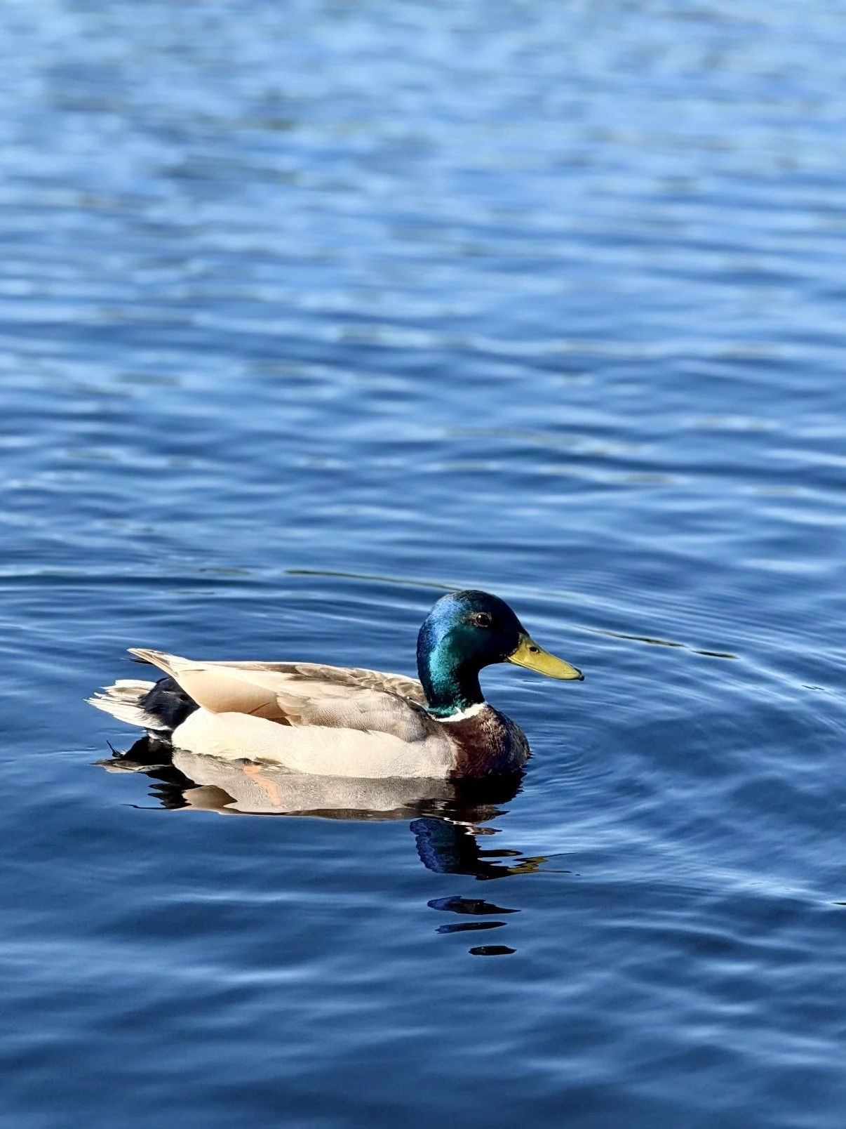 IMG_6843.jpg