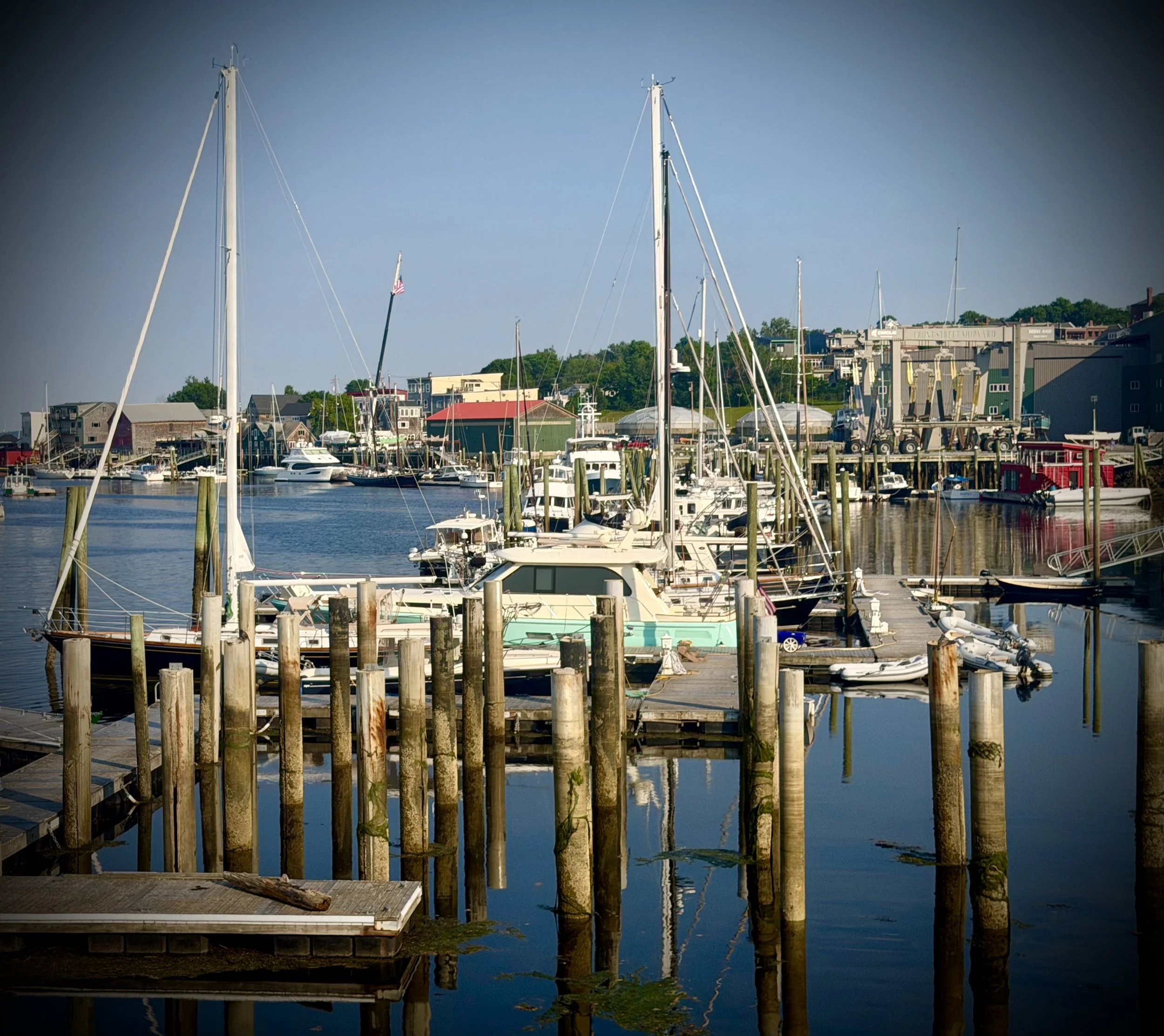Still Harbor