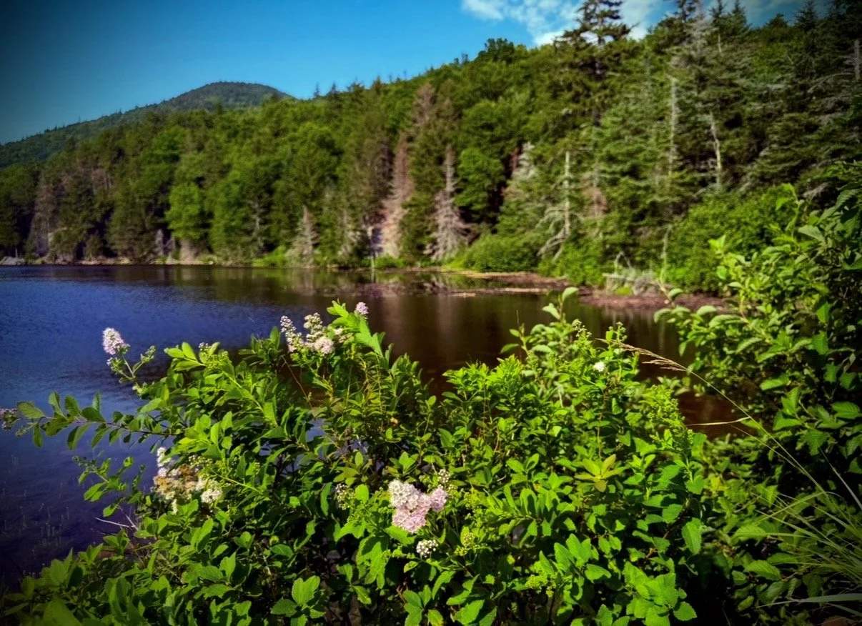 Saco Lake