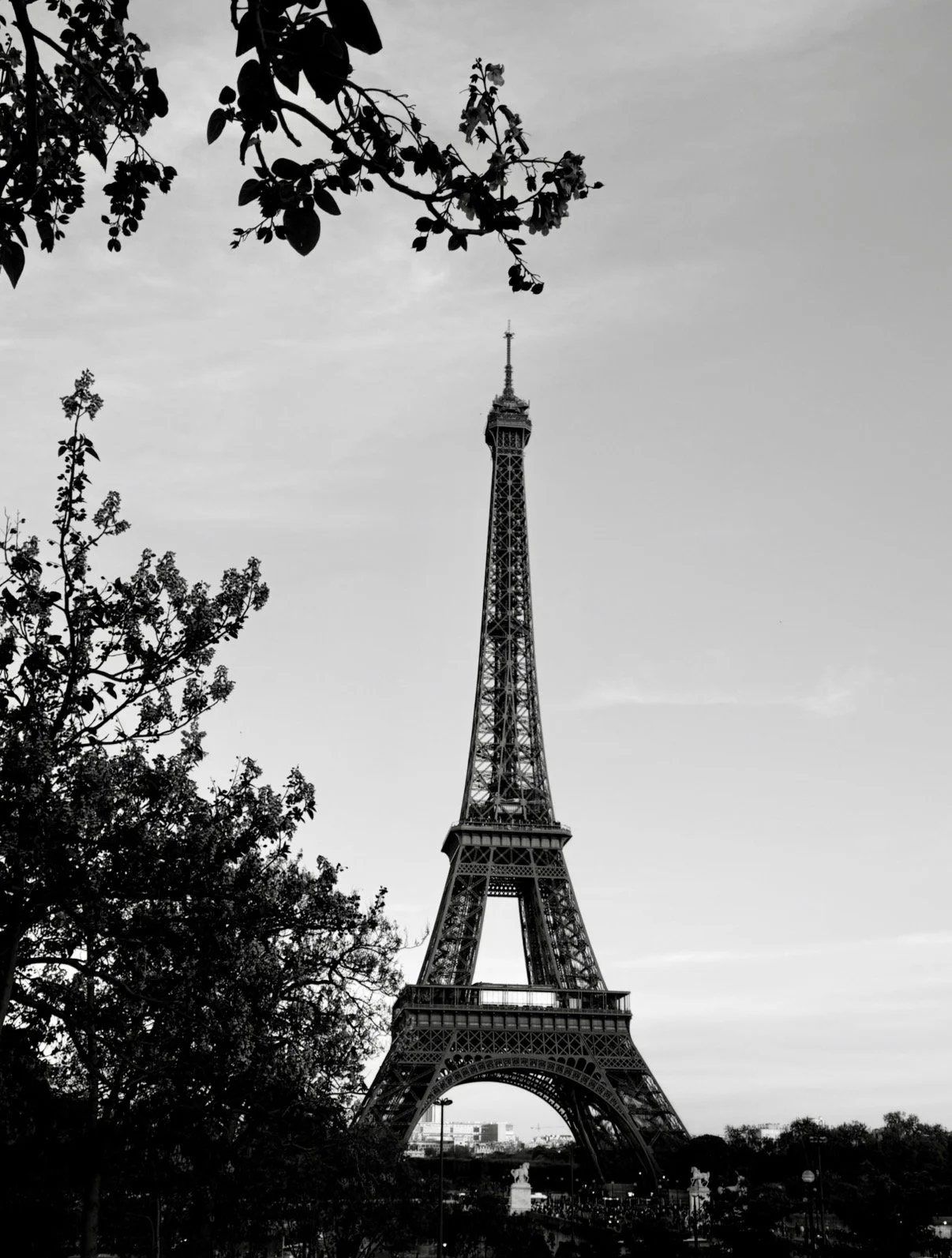 Paris Blues (B&W)