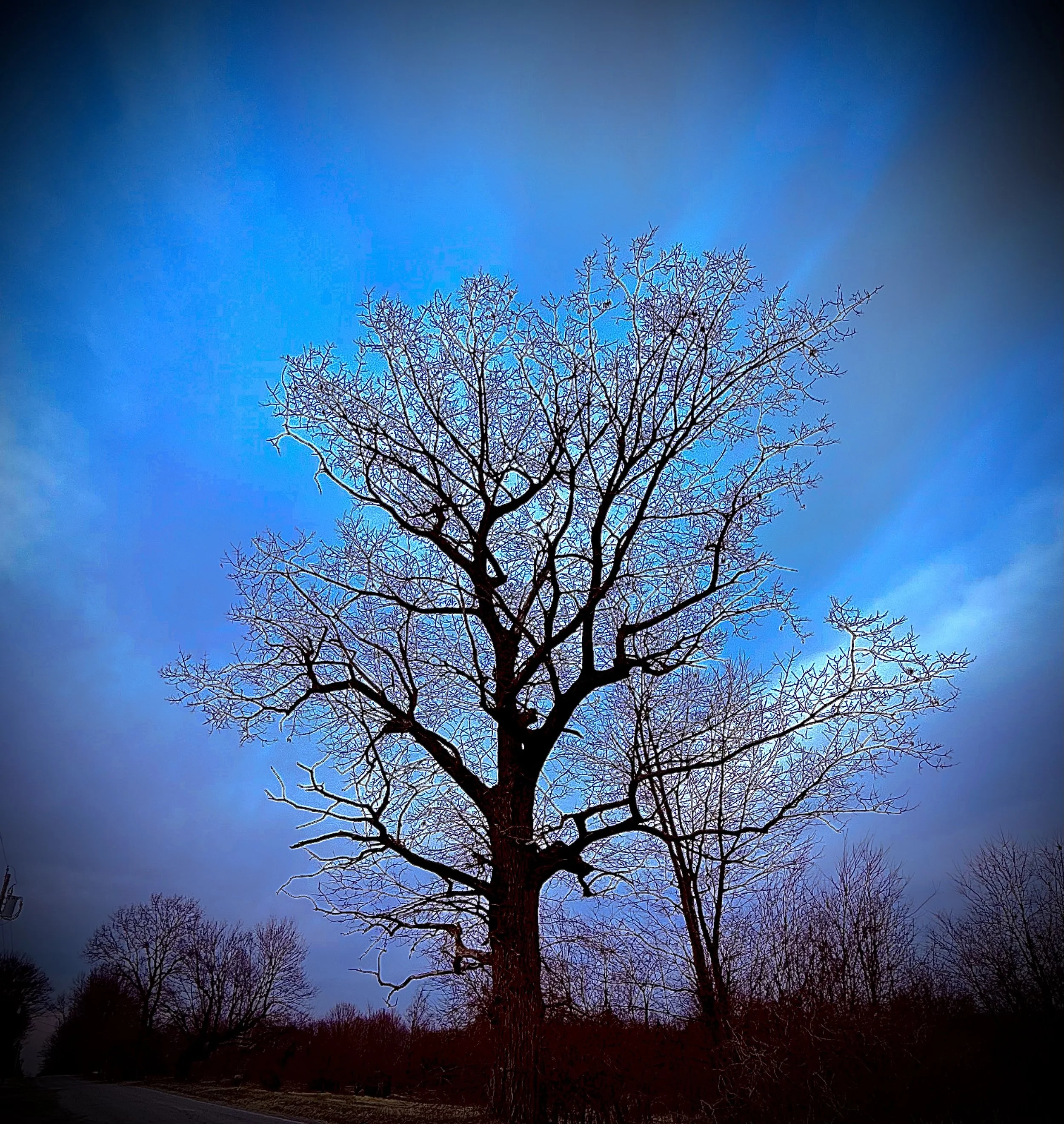 Blue Dawn