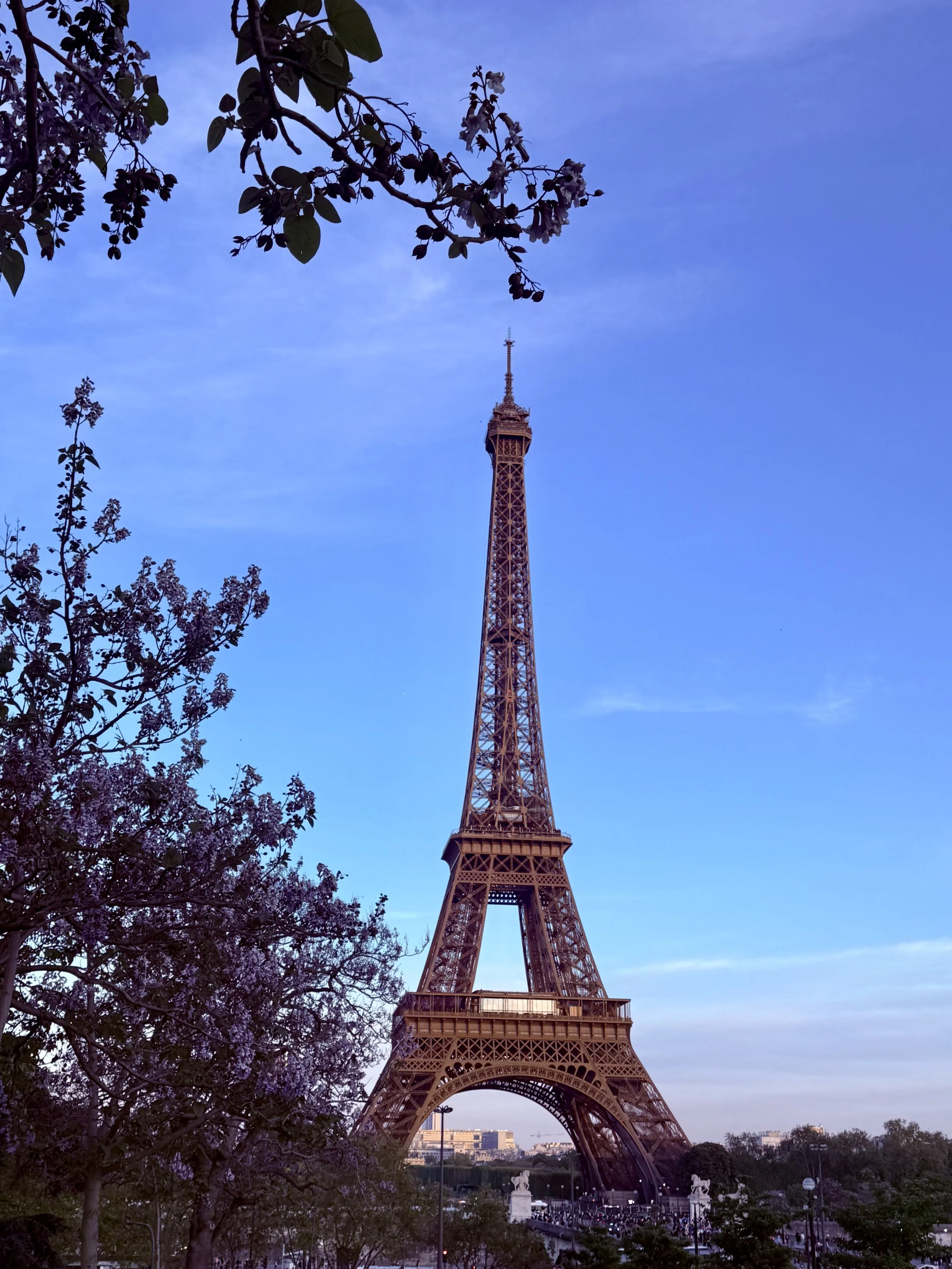 Paris Blues