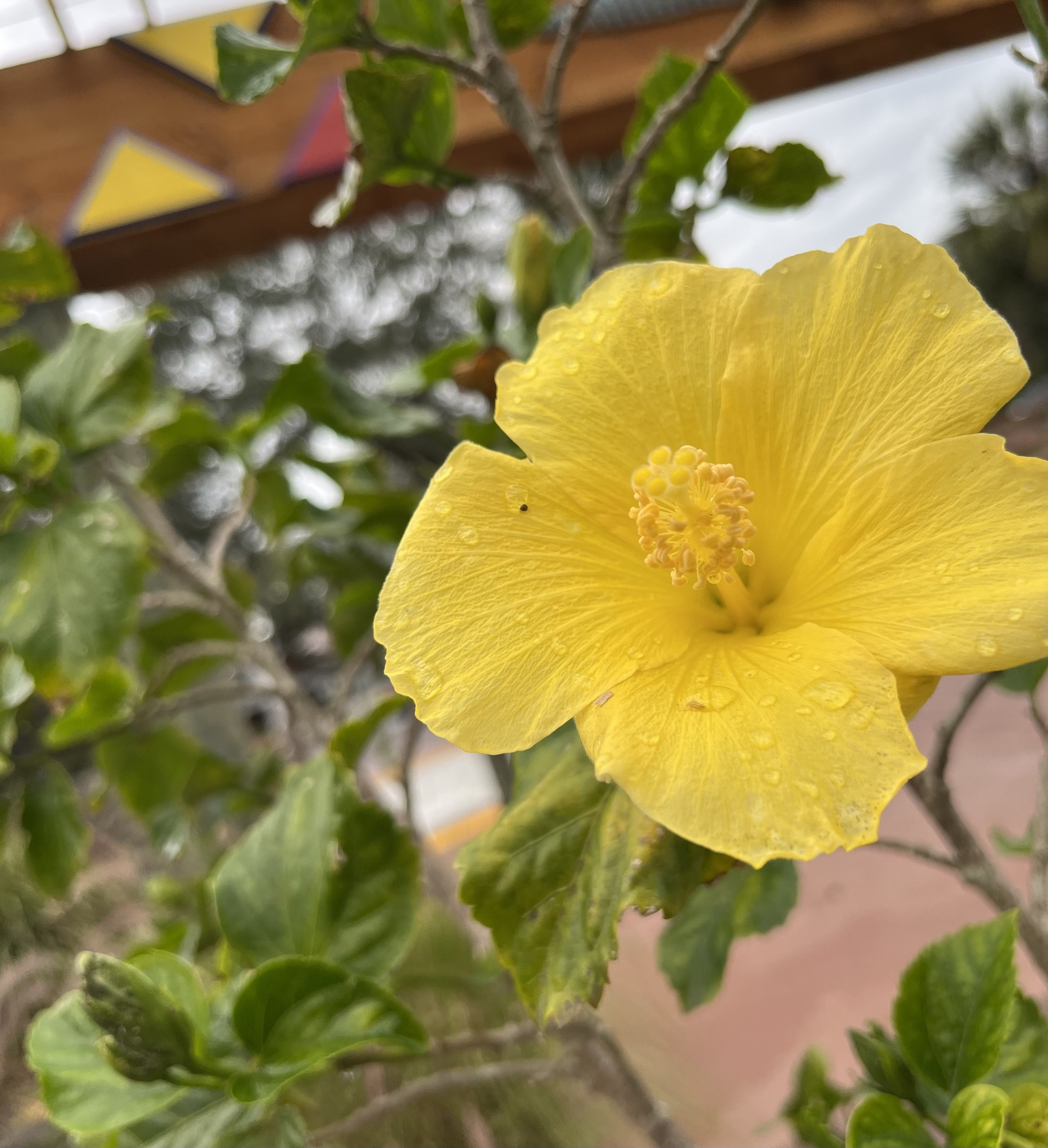 The Heart of Summer