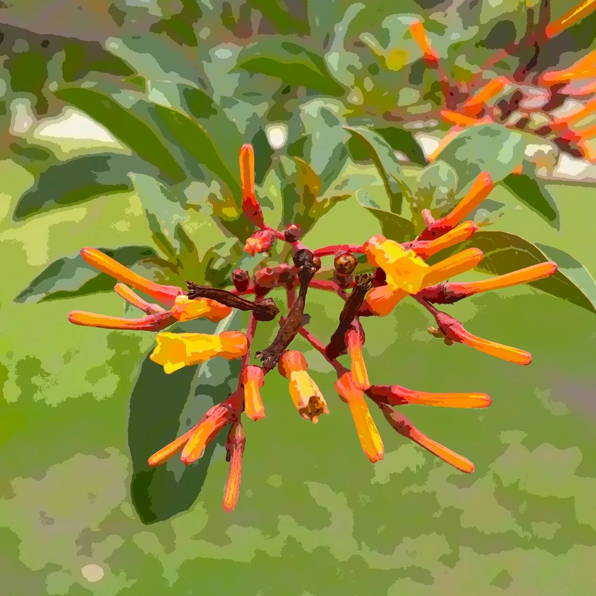 Close-up of a tropical plant with orange and yellow tubular flowers and green leaves in the background