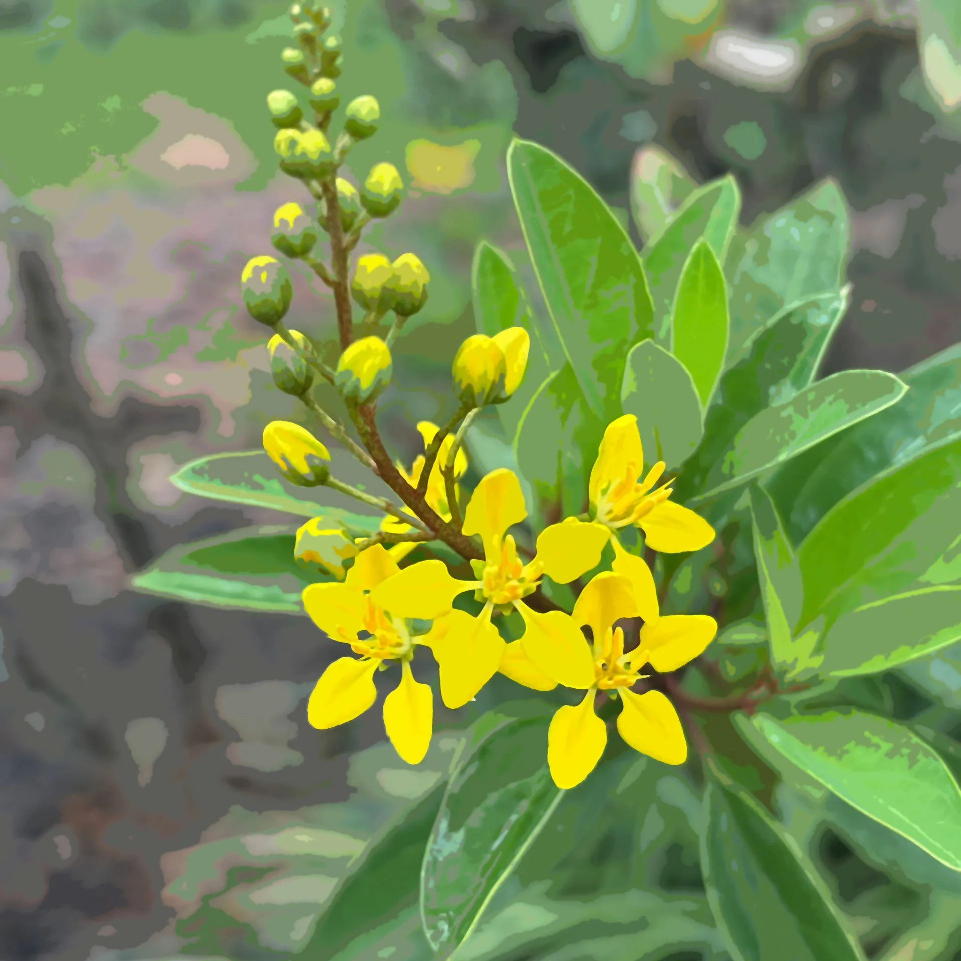 Close-up of a flowering plant with bright yellow flowers and green leaves, blurred background.