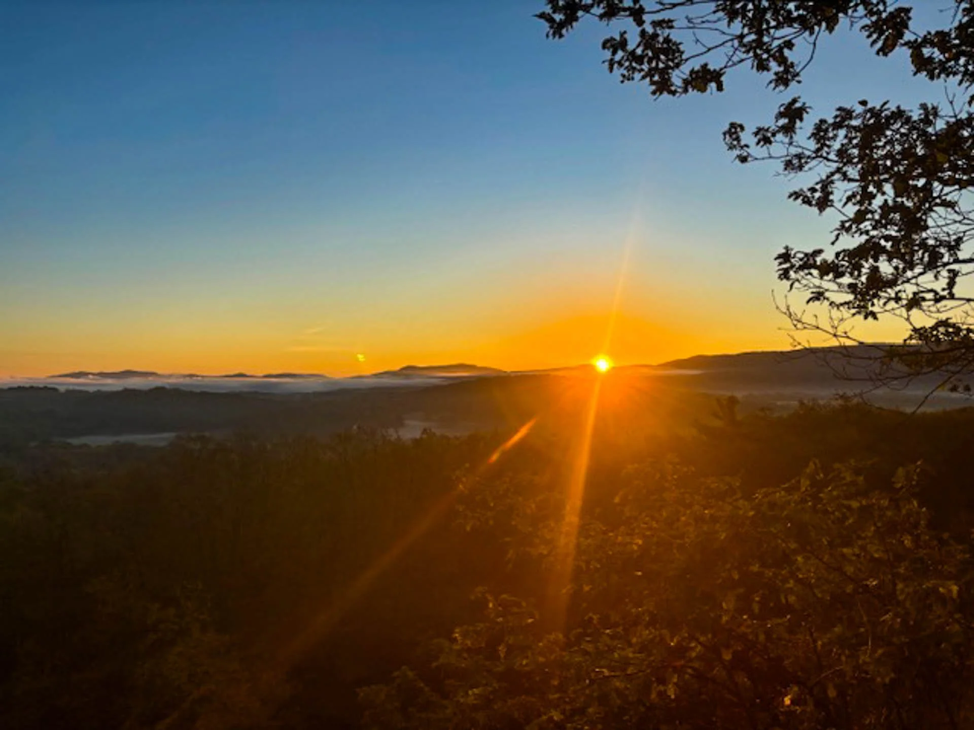 A sunrise over a distant landscape with trees in the foreground and a hill or mountain range on the horizon.