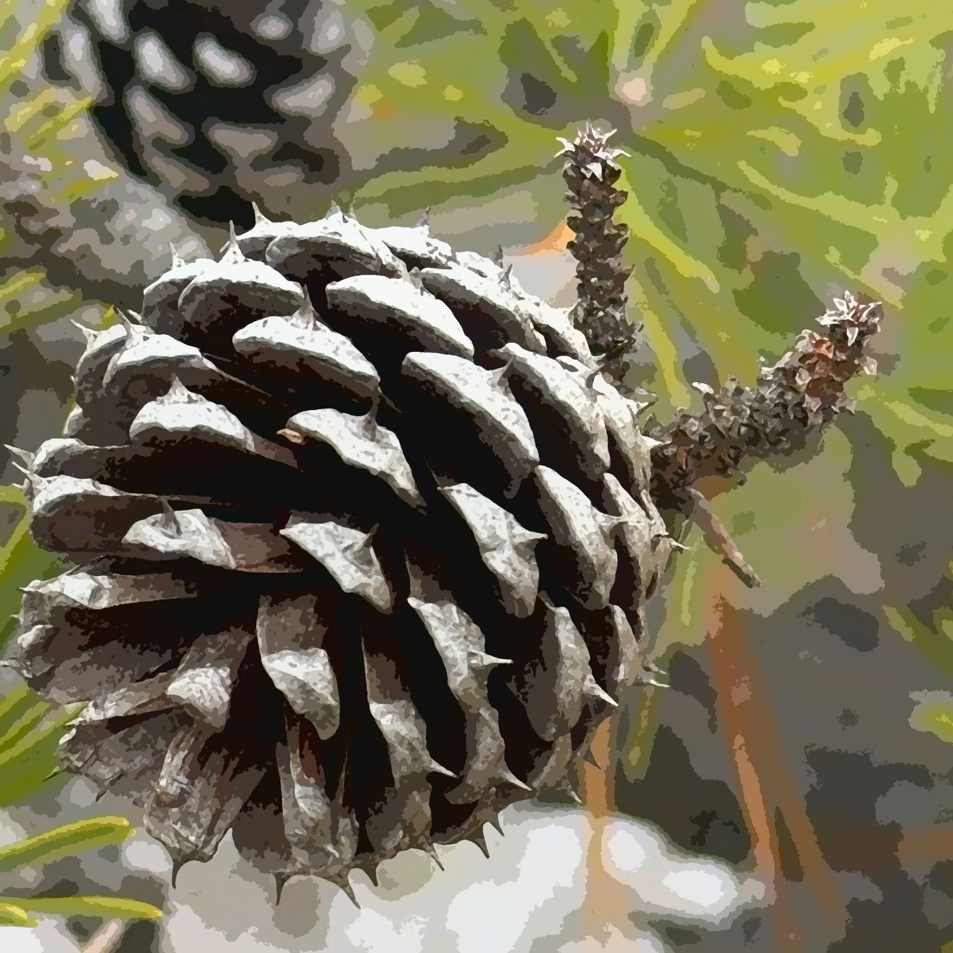A close-up of a pine cone on a branch with green blurred background.