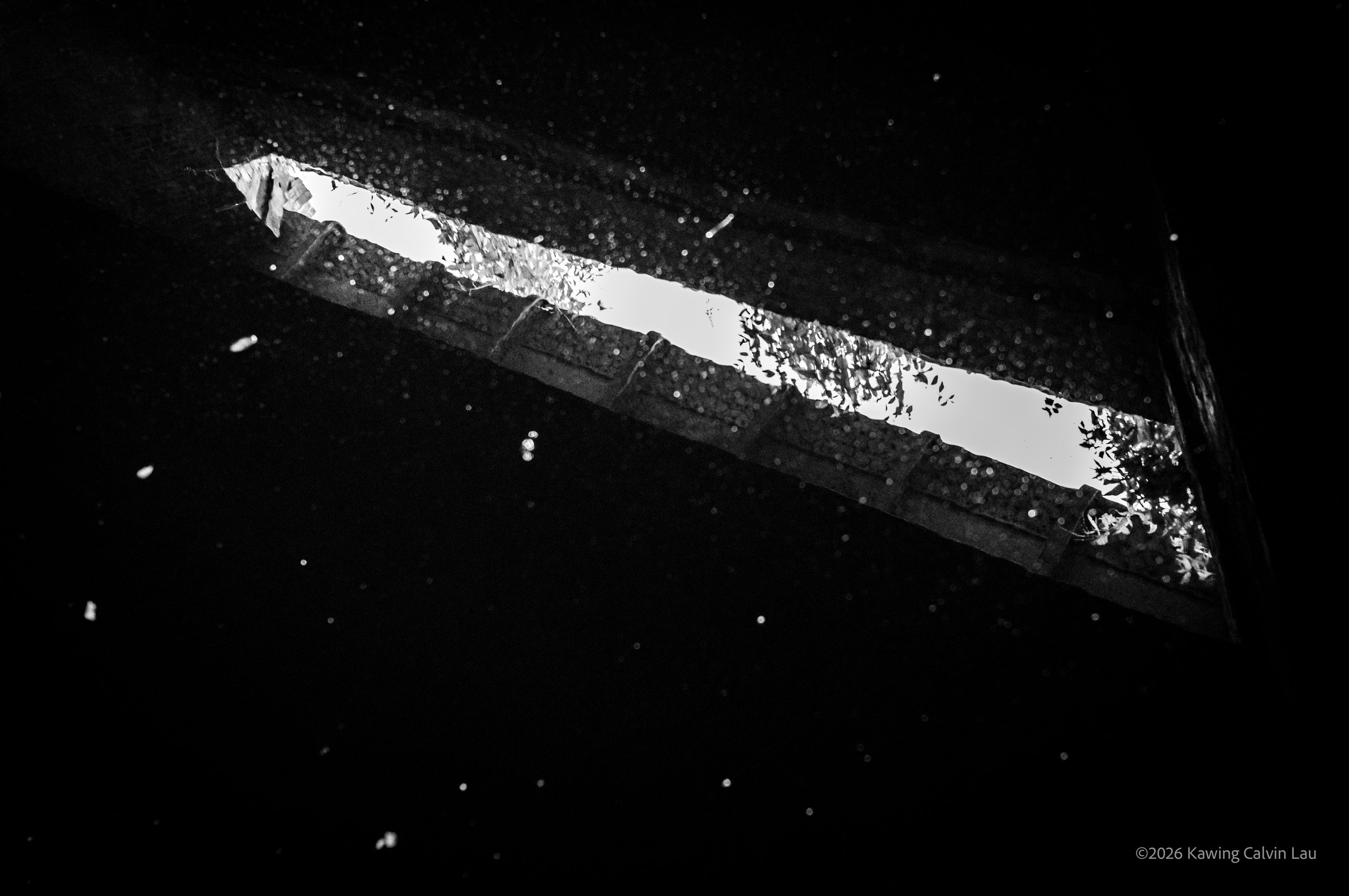 L1002348.jpeg