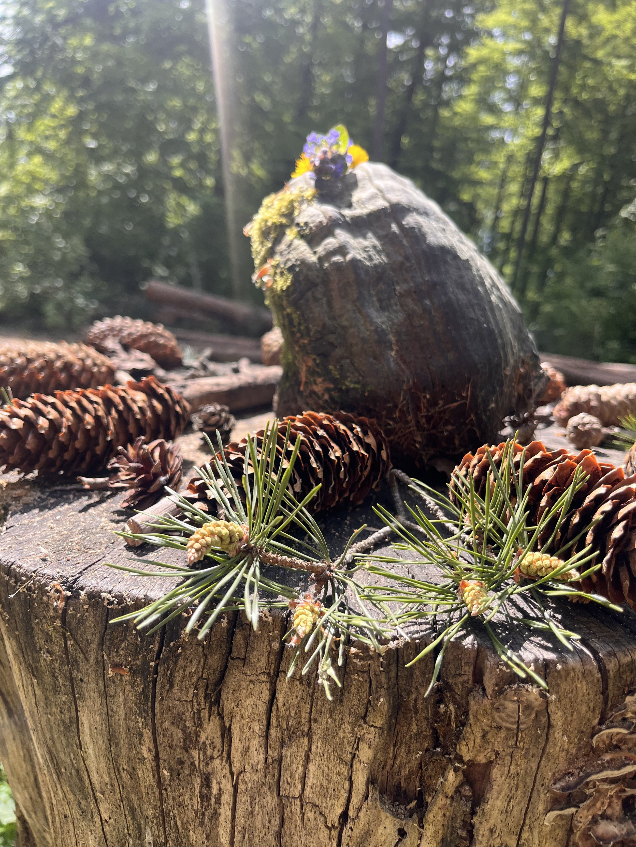 Schwerelos Retreats- Deine Auszeit für neue Kraft und Klarheit