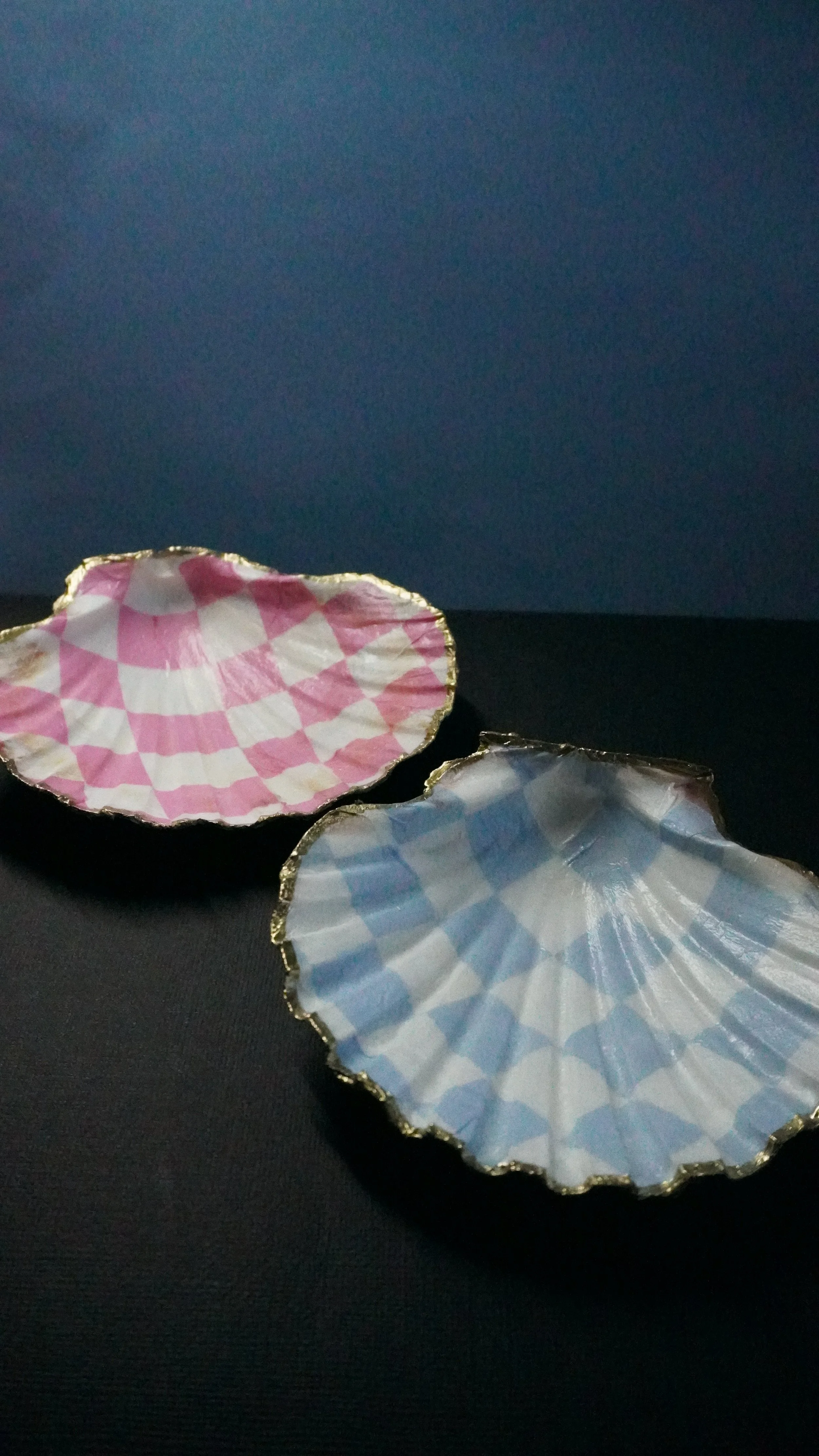 checkered shell 1.JPG