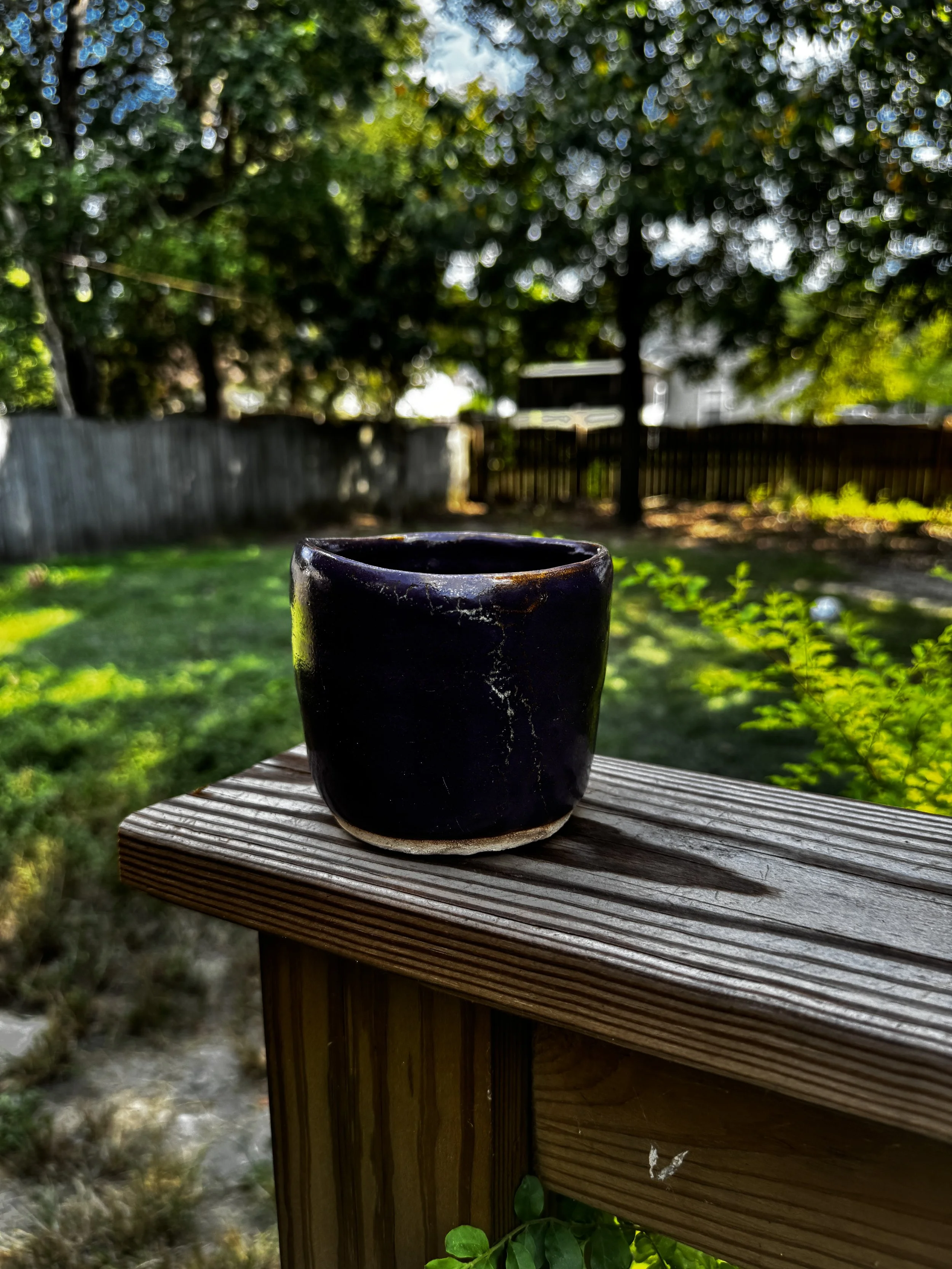 IMG_7200.JPG