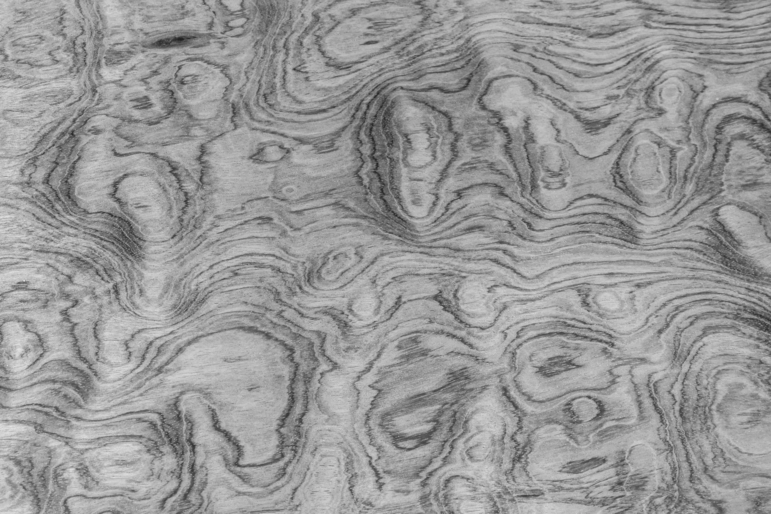Wood Black and white  texture image