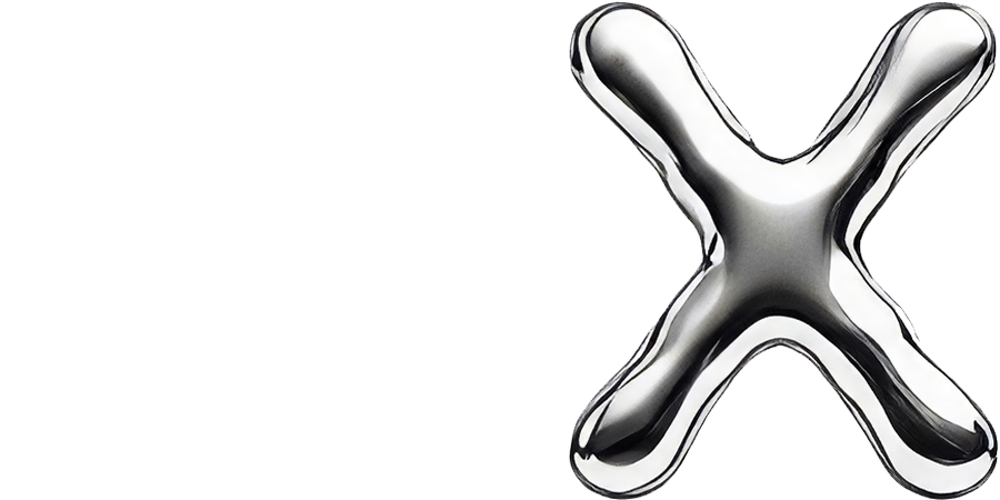 Chapter X