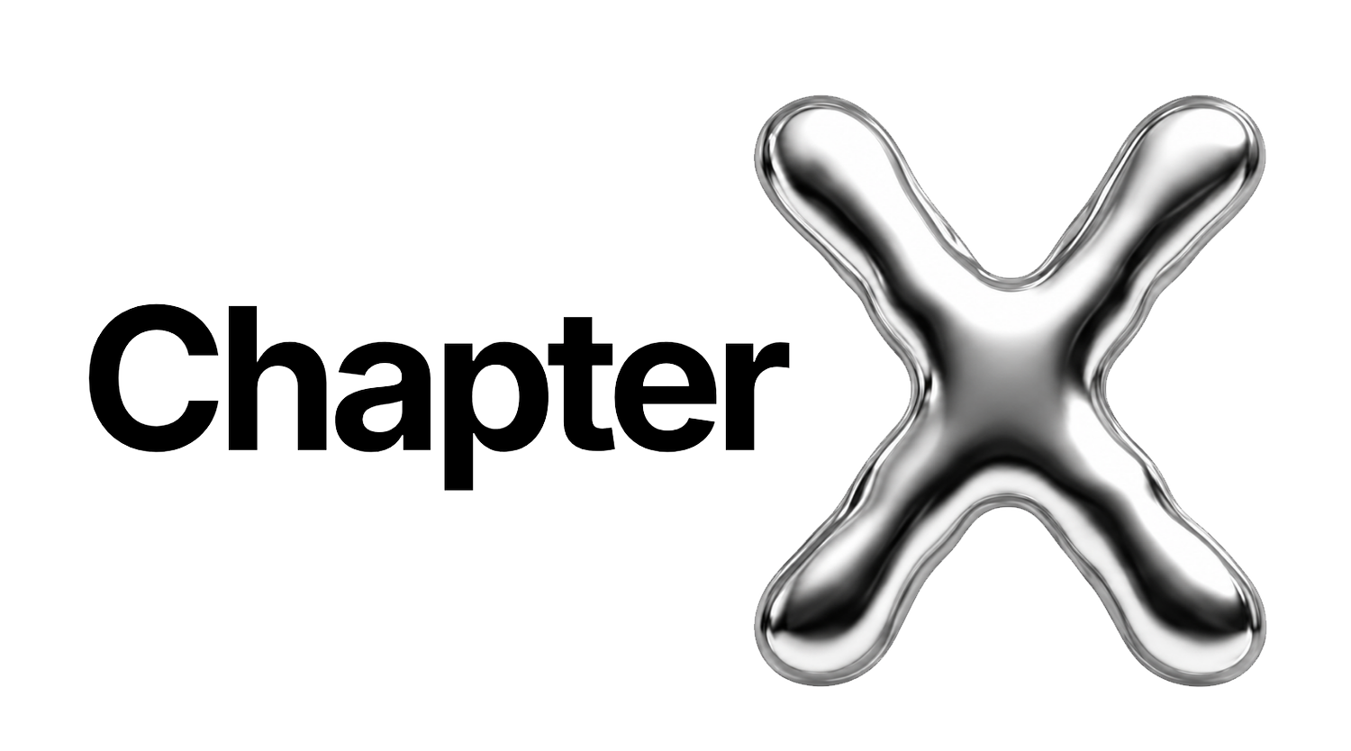 Chapter X