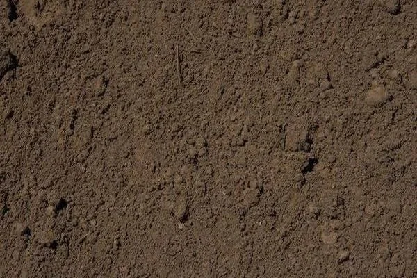 Close-up of brown dirt or soil surface.